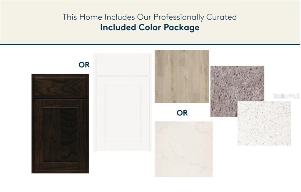 This image displays a selection of cabinet, flooring, carpet, and countertop finish options for a home — 9736 CRESCENT MOON DRIVE, RIVERVIEW, FL