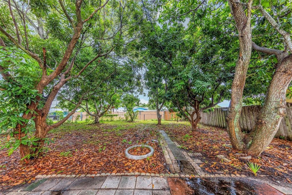 A backyard features mature trees, a paved walkway, and a wooden fence under a cloudy sky — 5621 11TH AVENUE N, ST PETERSBURG, FL