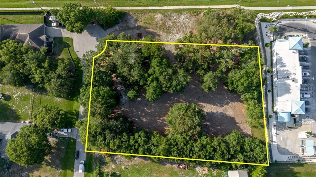 An aerial view shows a rectangular, tree-covered vacant lot outlined in yellow — 17380 RIVERSTONE DRIVE, LUTZ, FL