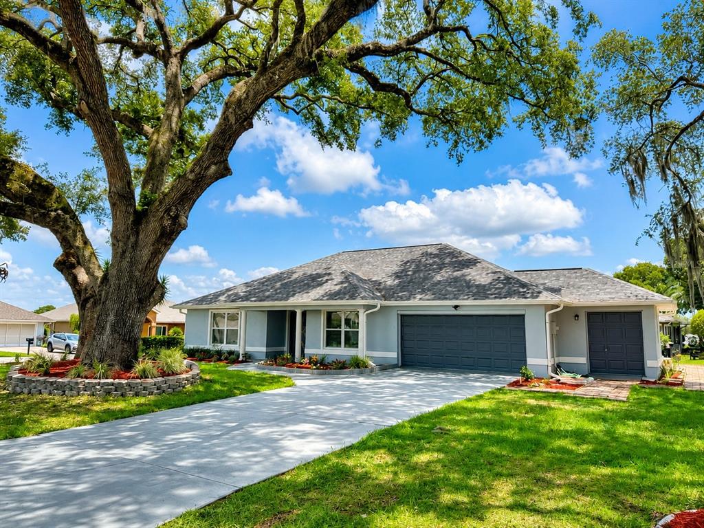 A single-story house with a gray exterior, a large oak tree, and a concrete driveway — 11584 SE 175TH STREET, SUMMERFIELD, FL
