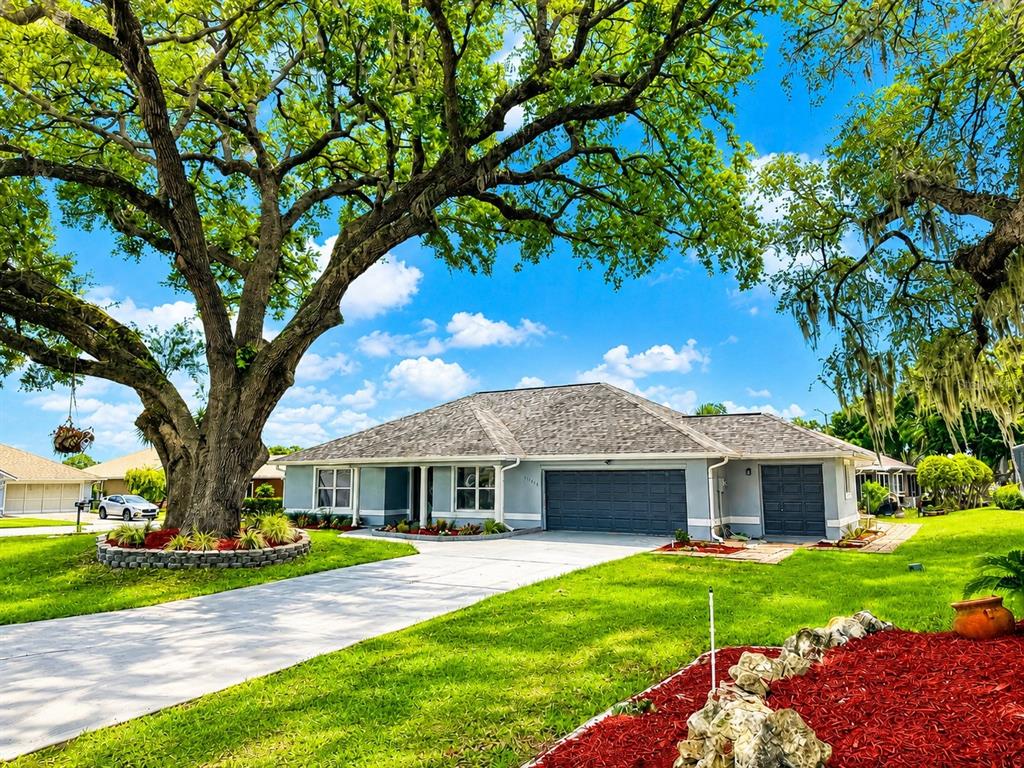 A single-story house with a large oak tree, gray siding, and a concrete driveway — 11584 SE 175TH STREET, SUMMERFIELD, FL