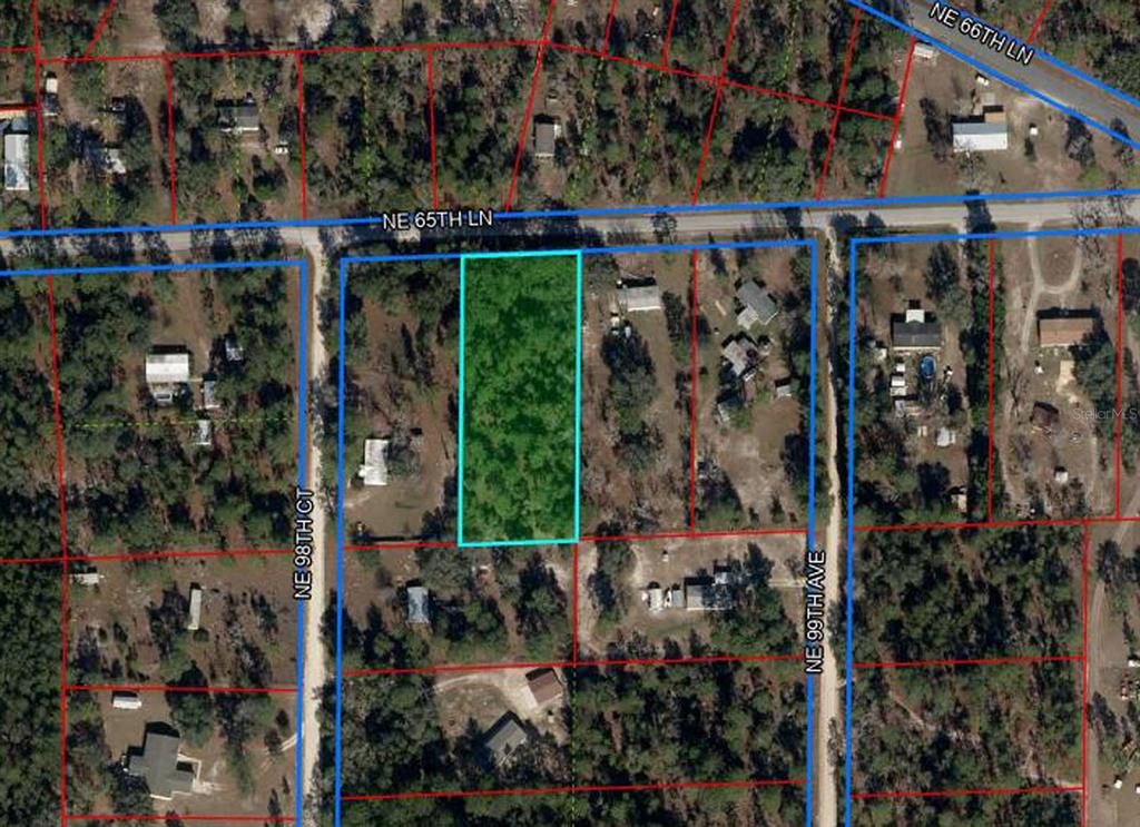 This is an aerial map showing a rectangular, wooded lot highlighted in light blue — 9830 NE 65TH LANE, BRONSON, FL