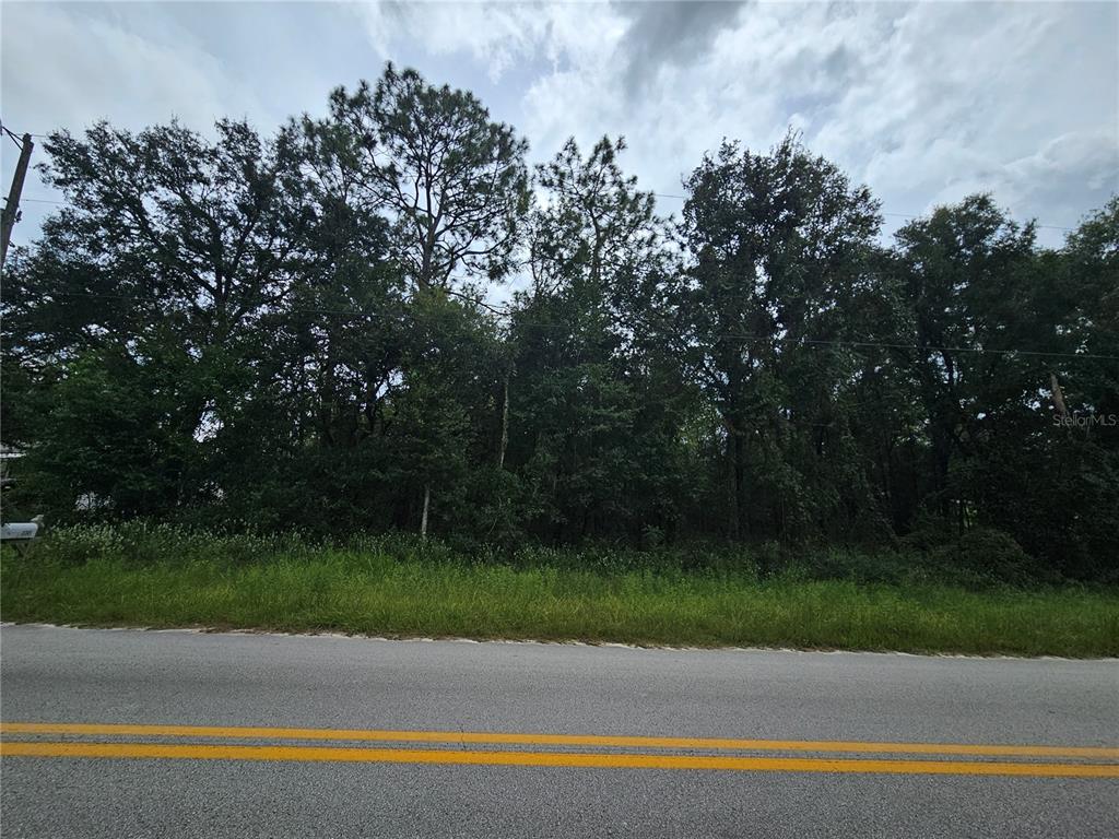 A view of a wooded, undeveloped lot from the edge of a paved road — 9830 NE 65TH LANE, BRONSON, FL