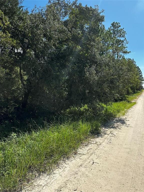A dirt road runs alongside a dense line of trees and tall grass — XX SE 21ST PLACE, MORRISTON, FL
