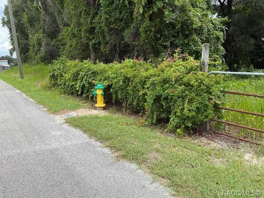 2662 E NORVELL BRYANT HIGHWAY, HERNANDO, FL — photo 3 of 14