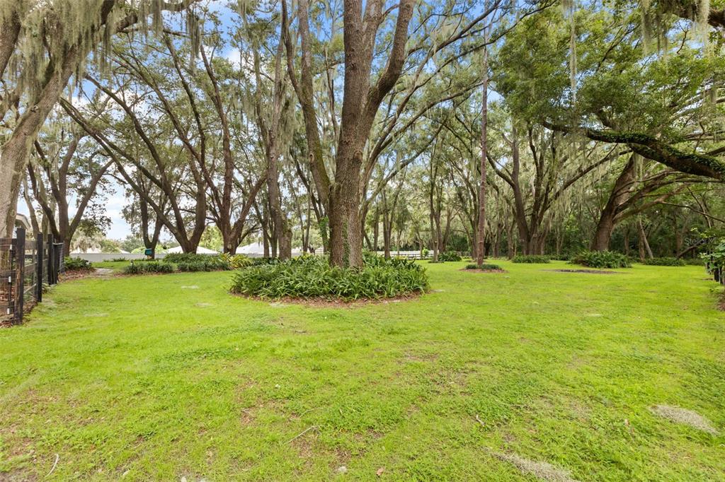 144 TILDENVILLE SCHOOL ROAD, WINTER GARDEN, FL — photo 3 of 30