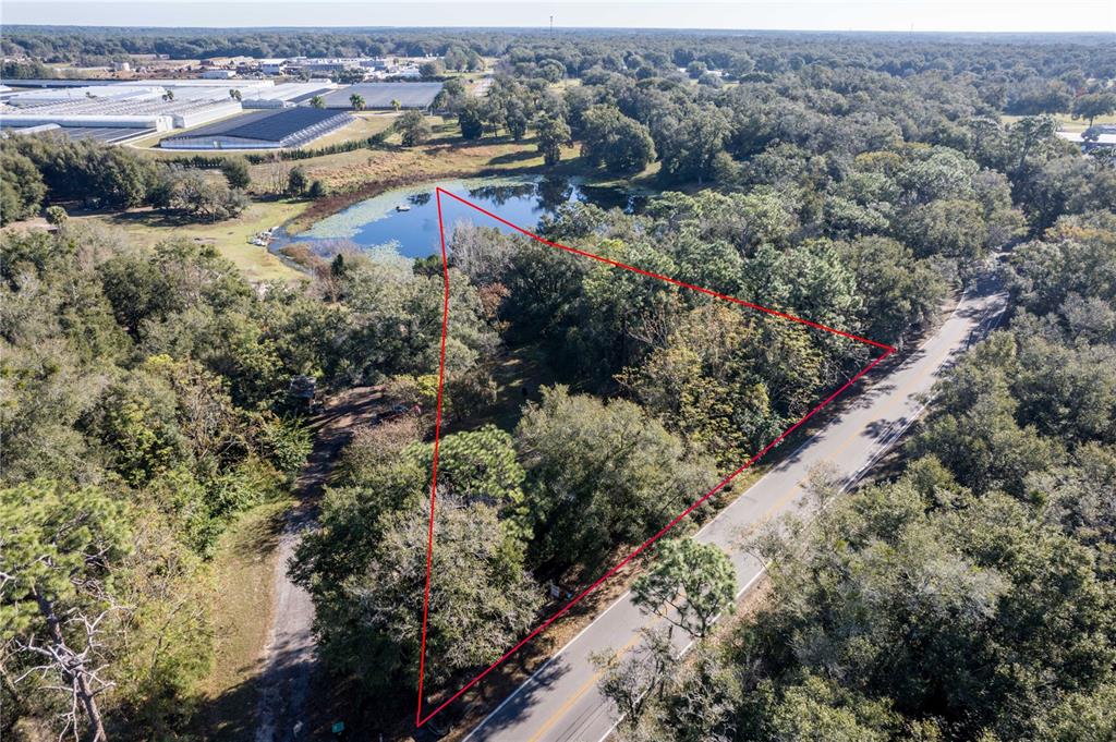 An aerial view shows a triangular plot of land bordered by a road and pond — 6311 SADLER ROAD, MOUNT DORA, FL