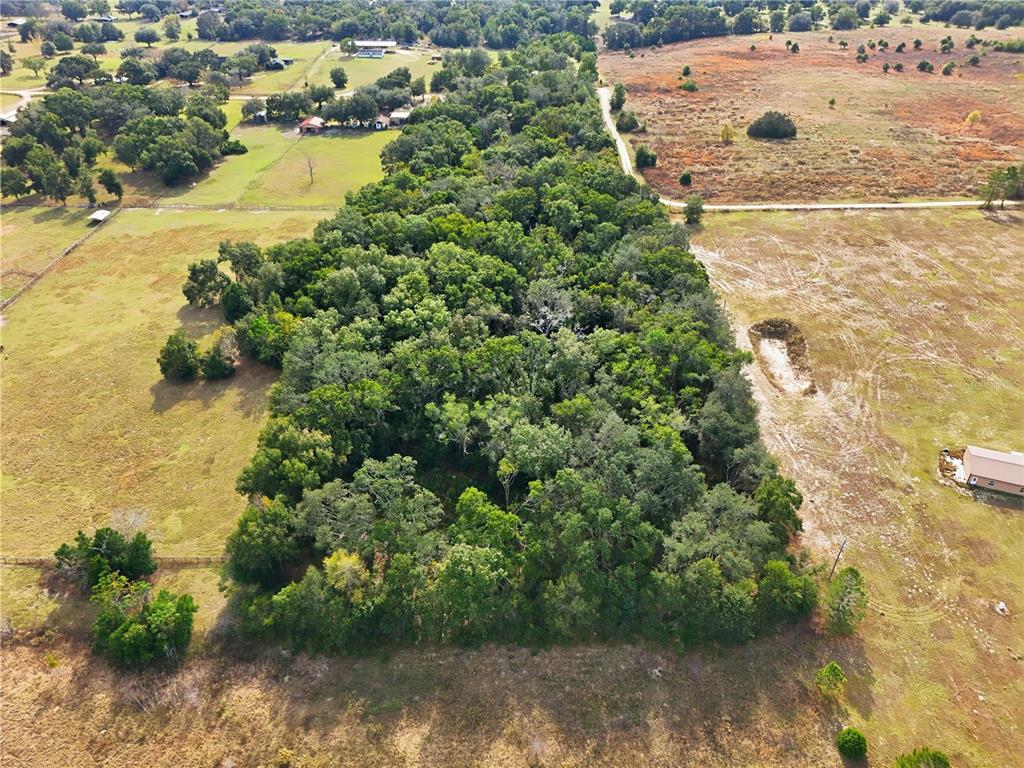 An aerial view shows a rectangular wooded lot surrounded by open fields and rural properties — CURLE ROAD, EUSTIS, FL