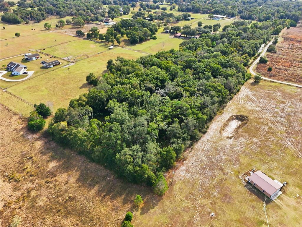 An aerial view shows a dense patch of trees surrounded by open fields and buildings — CURLE ROAD, EUSTIS, FL