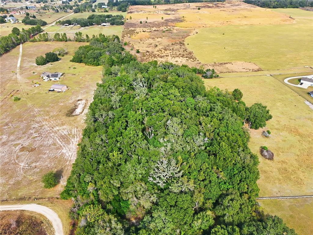 An aerial view shows a large, dense patch of trees surrounded by open pasture land — CURLE ROAD, EUSTIS, FL