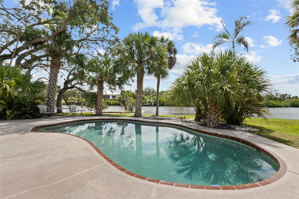 A kidney-shaped swimming pool sits on a concrete patio surrounded by palm trees and water — 5381 PALOS VERDES DRIVE, SARASOTA, FL