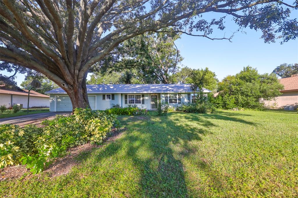 306 HOLLOWTREE DRIVE