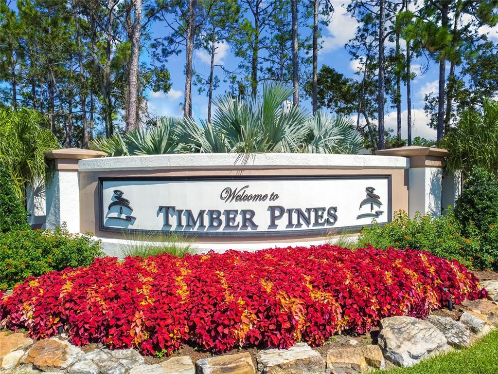 6084 PORT RUSH COURT, SPRING HILL, FL — photo 2 of 61