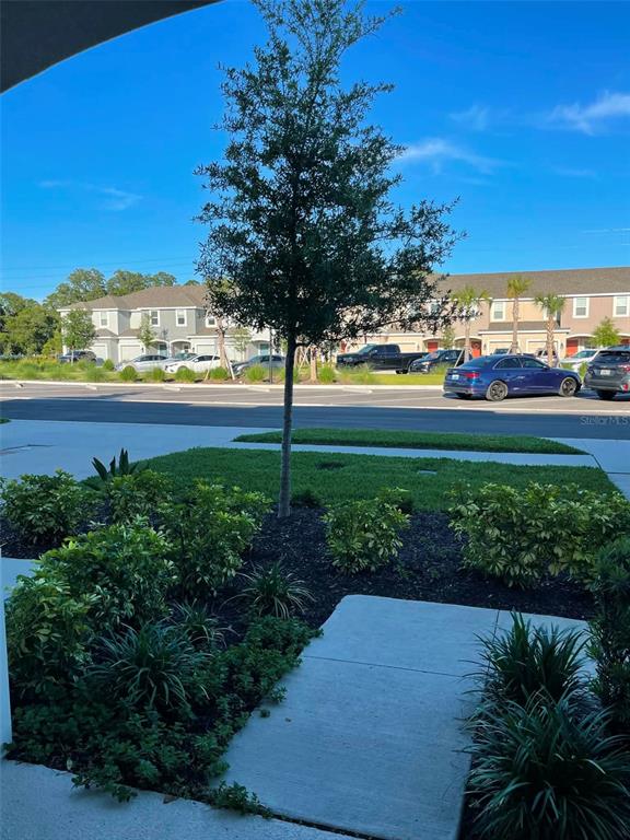 A view from a patio looking out at a tree, landscaping, a street, and townhomes — 2516 PARAVANE WAY, WESLEY CHAPEL, FL
