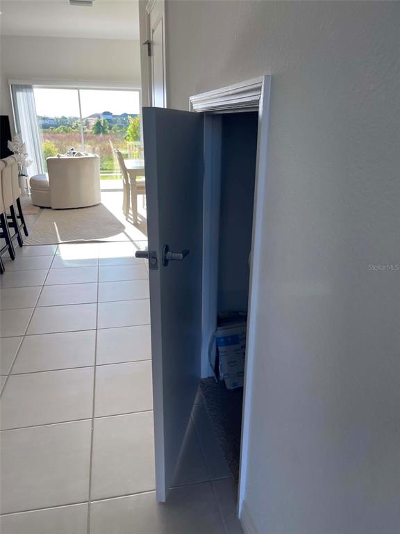 A partially open door reveals a small storage closet with carpeted flooring — 2516 PARAVANE WAY, WESLEY CHAPEL, FL