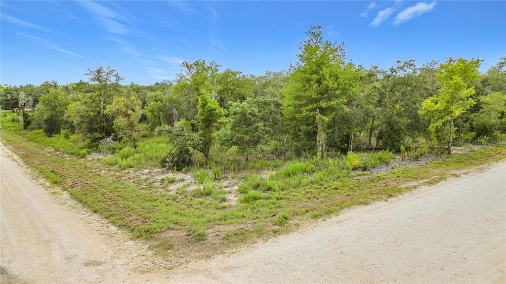 A vacant, wooded corner lot sits at the intersection of two unpaved dirt roads — 0 SE 68TH TERRACE, MORRISTON, FL