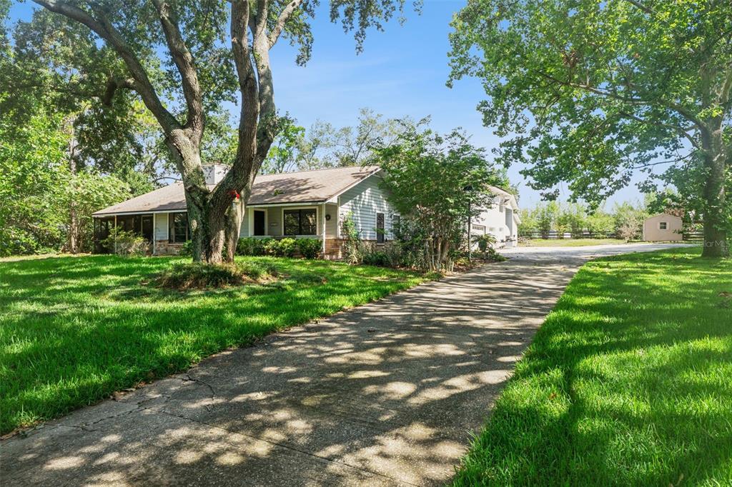 A single-story house with a concrete driveway and large trees on a grassy lot — 15749 ARABIAN WAY, MONTVERDE, FL