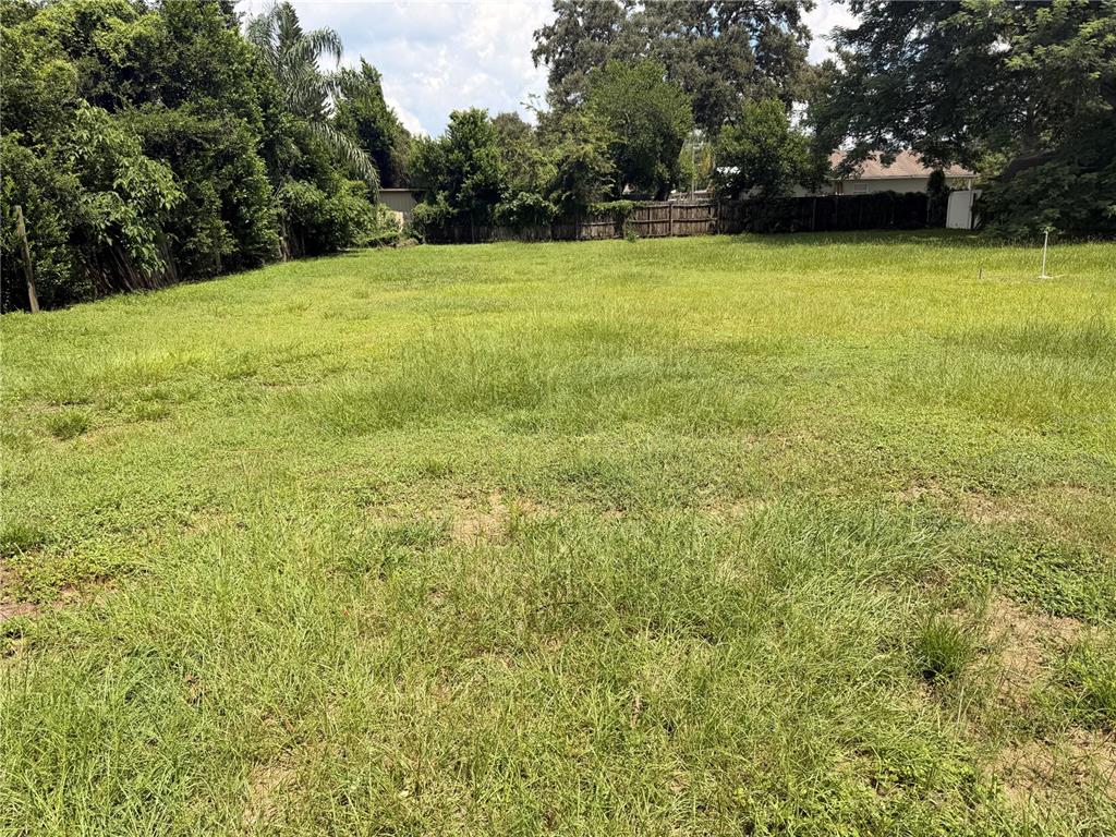 A large, grassy vacant lot is enclosed by wooden fencing and surrounded by mature trees — 2110 E POINSETTIA AVENUE UNIT 2, TAMPA, FL