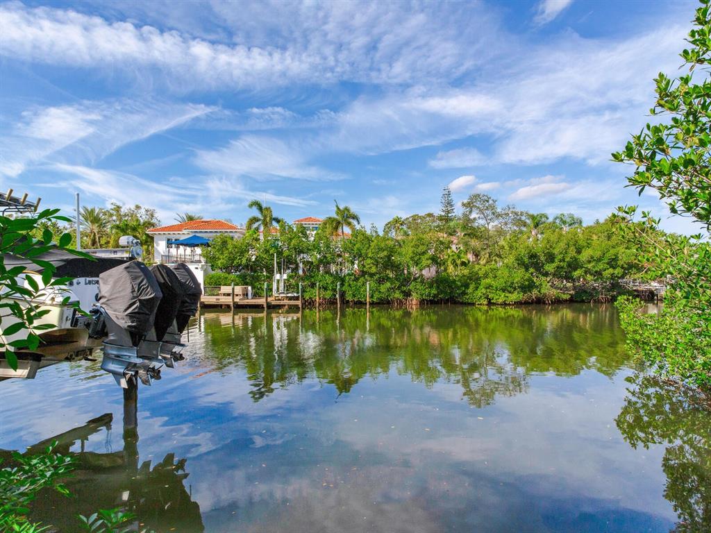 A paved driveway leads into a grassy, tree-filled lot from a residential street — 5001 S SHORE CREST CIRCLE, TAMPA, FL