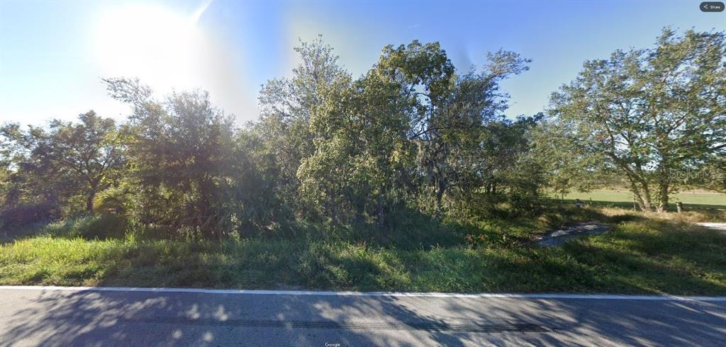 A view of a grassy, tree-covered vacant lot along a paved road — GERBER DAIRY RD, WINTER HAVEN, FL