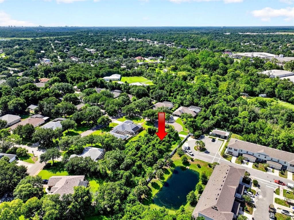 An aerial view shows a wooded residential lot marked by a red arrow near a pond — 2 DEERSKIN LANE, ORMOND BEACH, FL