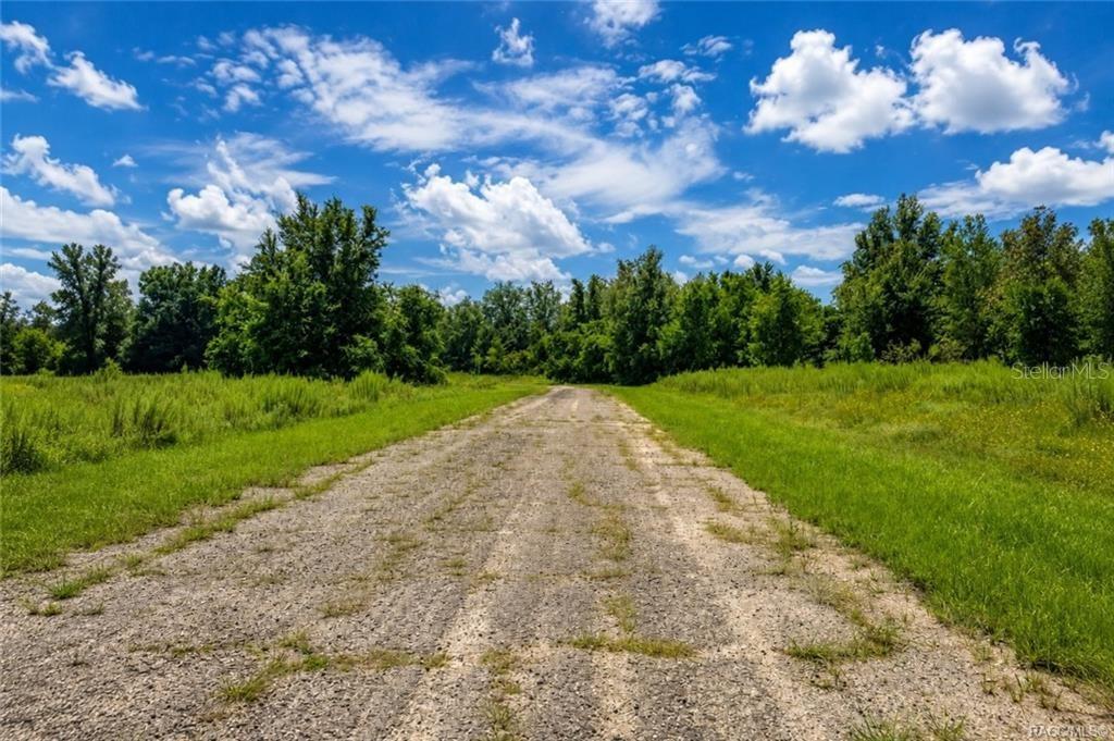 A gravel road leads through a grassy field toward a line of trees under clouds — 7644 N FISHER TERRACE, CITRUS SPRINGS, FL