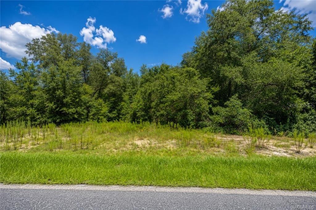 A vacant, grassy lot with dense trees under a blue sky — 7644 N FISHER TERRACE, CITRUS SPRINGS, FL