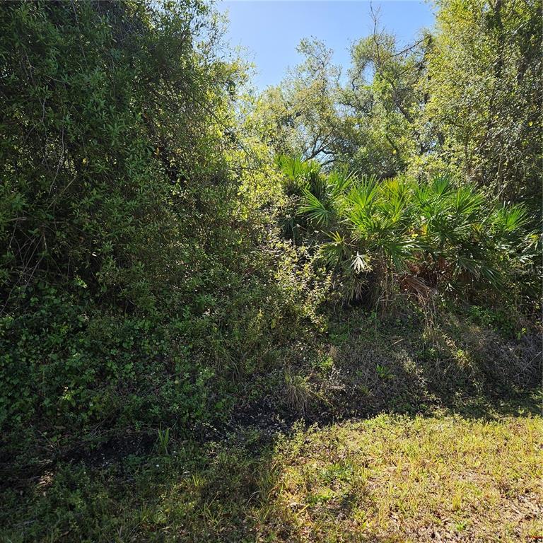 JANARO ROAD