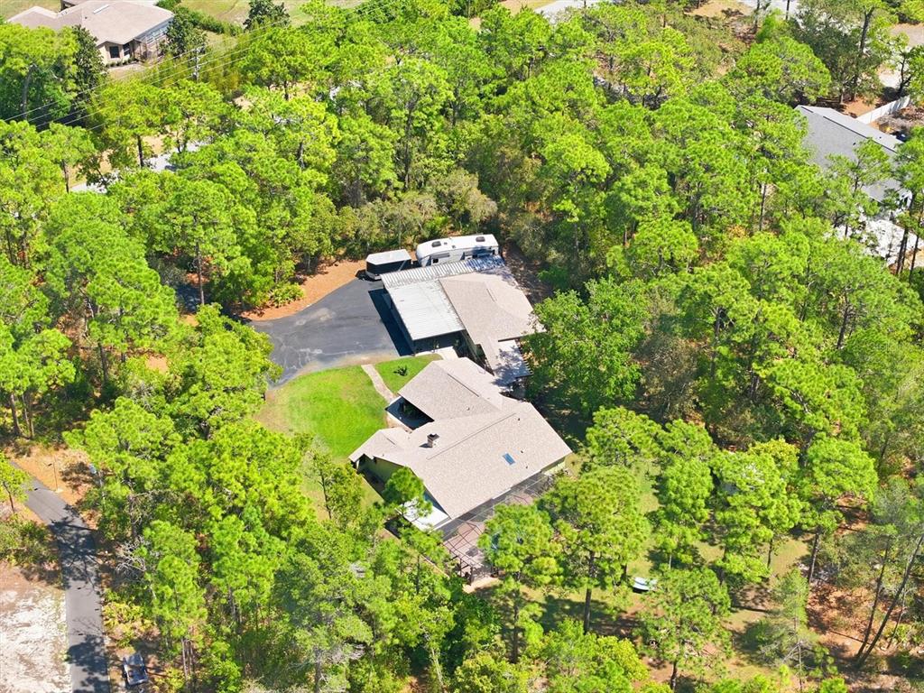 A grassy backyard features tall pine trees, a wooden swing, a hammock, and a shed — 9032 BIRMINGHAM AVENUE, WEEKI WACHEE, FL