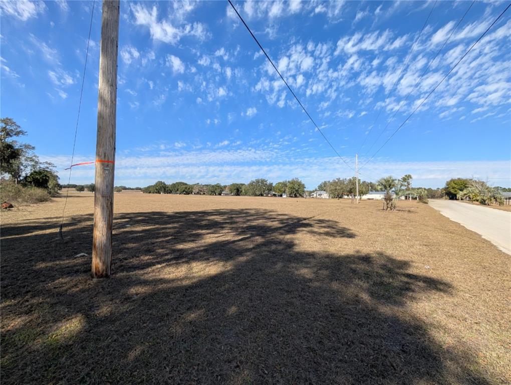 A large, flat, grassy field features several scattered trees under a bright blue sky — 122-125 MILLER STREET, POMONA PARK, FL