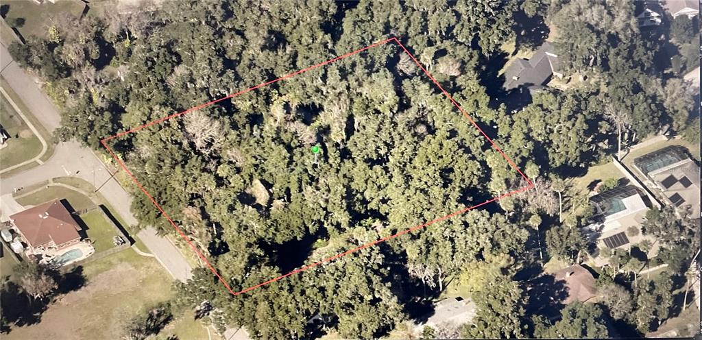 An aerial view shows a rectangular, tree-covered vacant lot outlined in red — PEPPER HILL ROAD, PORT ORANGE, FL