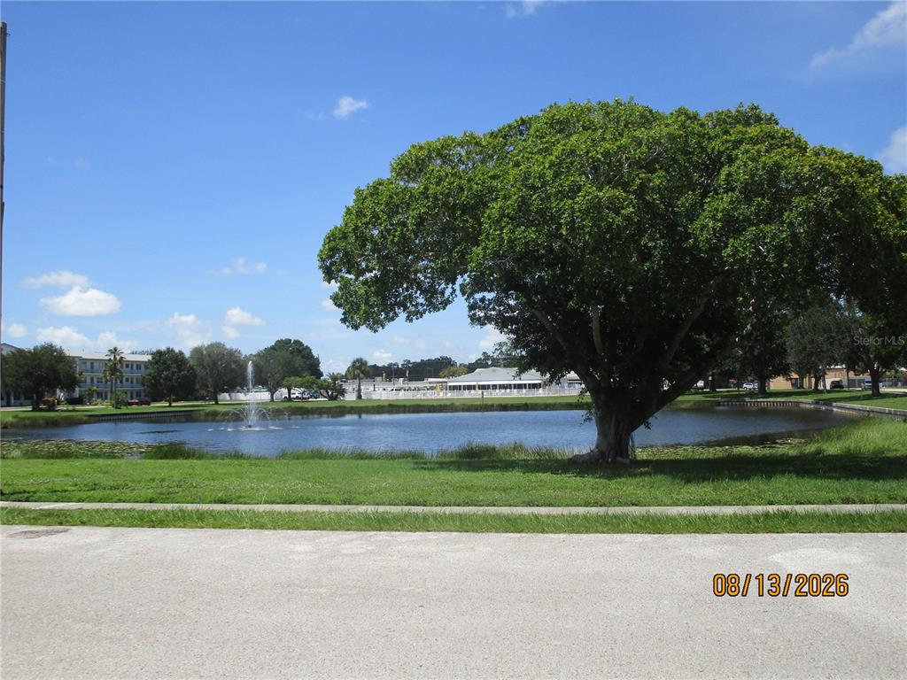 A large tree stands beside a pond with a fountain in a grassy park area — 1900 59TH AVENUE N UNIT 115, ST PETERSBURG, FL