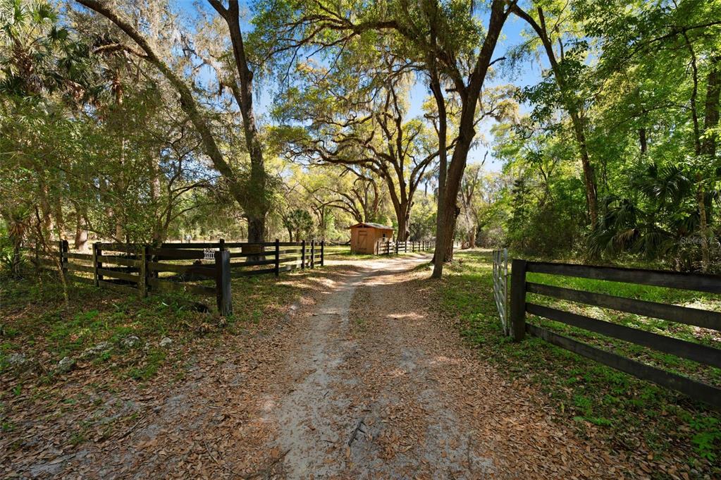 A grassy, fenced-in yard features mature trees and a palm tree under a clear sky — 15311 SW 107TH STREET, ARCHER, FL