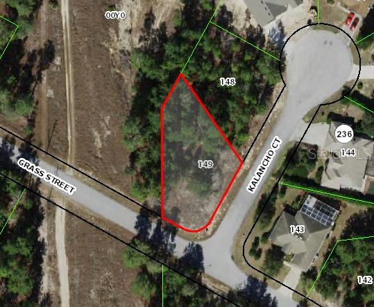 This is an aerial map showing a vacant, wooded residential lot outlined in red — 1 KALANCHOE COURT, HOMOSASSA, FL
