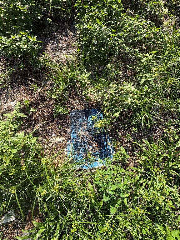 A blue utility box cover is partially obscured by tall grass and weeds in a yard — 8312 N KLONDYKE STREET, TAMPA, FL