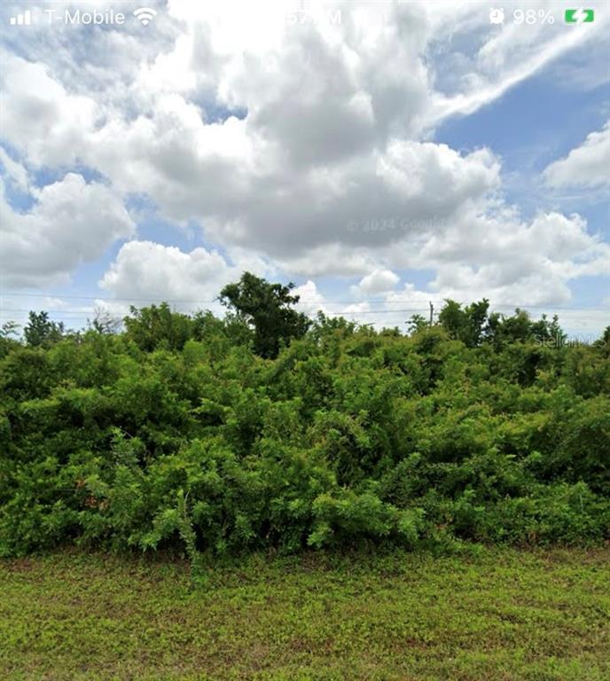 A dense thicket of green shrubs and trees stands under a cloudy blue sky — 103 HARDEE WAY, ROTONDA WEST, FL