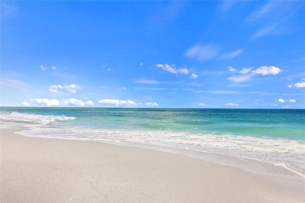 203 CASA DEL LAGO WAY UNIT 203, VENICE, FL — photo 3 of 30