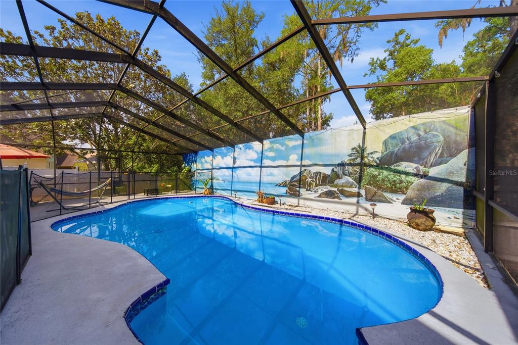 A screened-in swimming pool area with a tropical mural backdrop and a hammock — 1621 SPINNING WHEEL DRIVE, LUTZ, FL