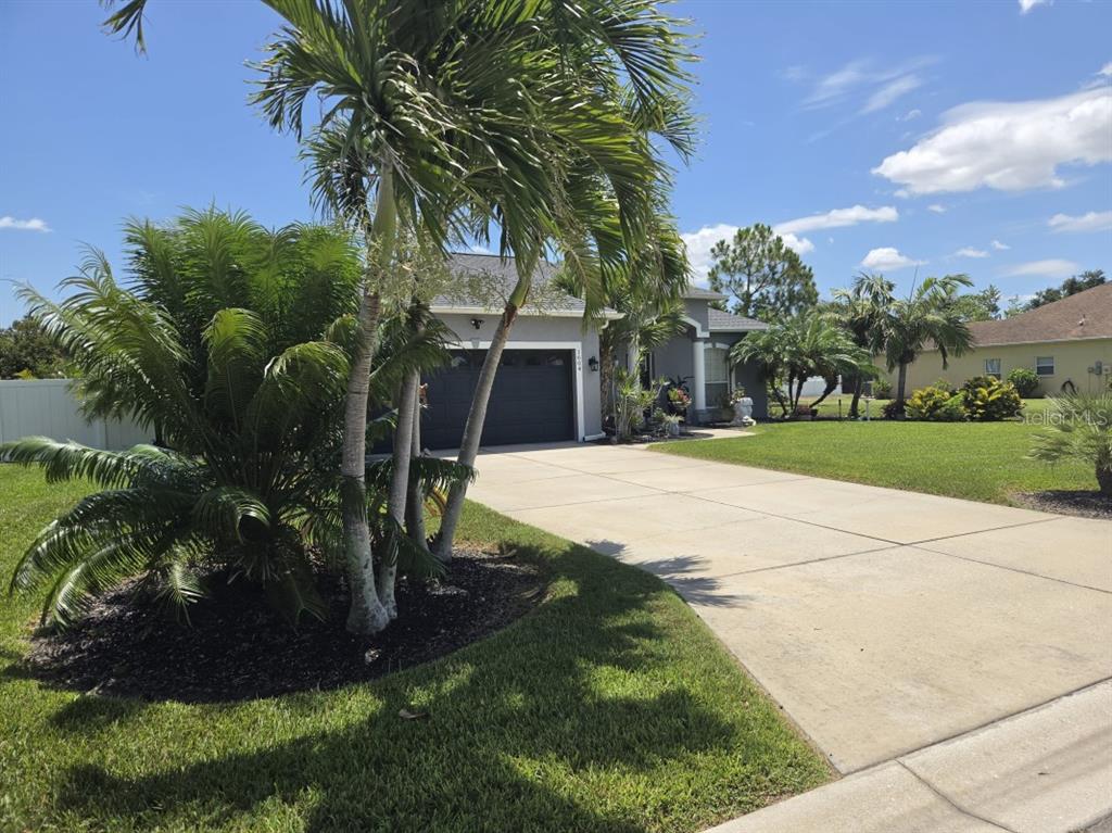 A single-story house with a concrete driveway, a dark garage door, and several palm trees — 1604 21ST AVENUE W, PALMETTO, FL