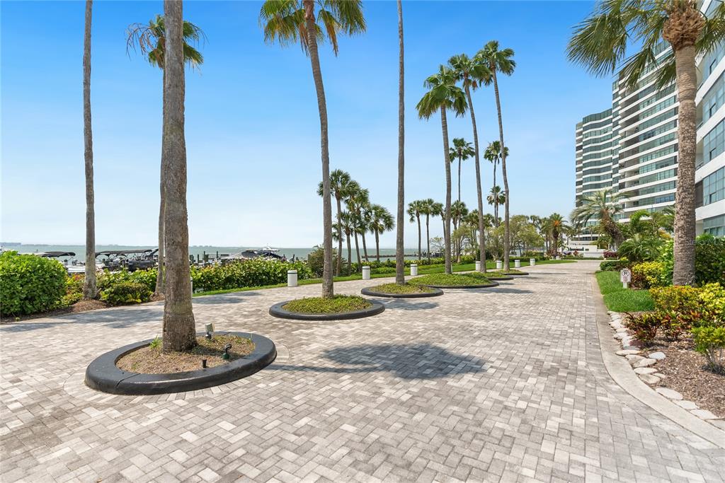 A paved walkway lined with palm trees leads toward a waterfront area and a tall building — 888 BOULEVARD OF THE ARTS UNIT 1705, SARASOTA, FL