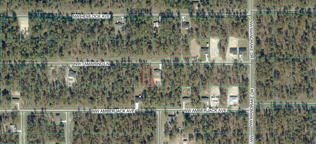 TBD NW TAMARIND LANE, DUNNELLON, FL — photo 2 of 13