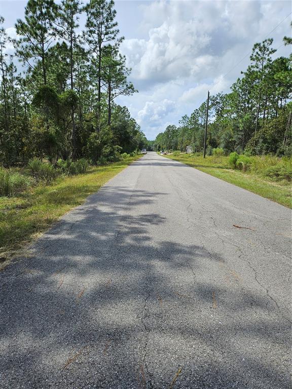 TBD NW TAMARIND LANE, DUNNELLON, FL — photo 3 of 13