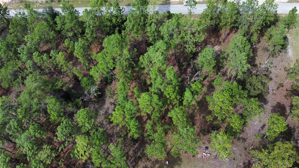 TBD NW TAMARIND LANE, DUNNELLON, FL — photo 5 of 13