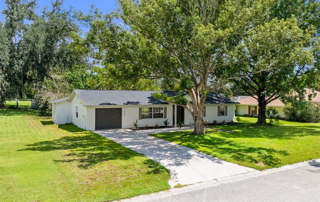 A single-story white house with a dark roof and a concrete driveway sits on grass — 11836 ORANGE STREET, SAN ANTONIO, FL