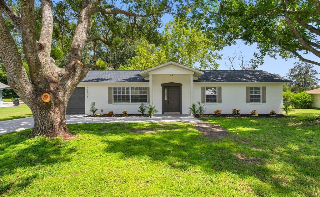 A single-story white house with a dark front door and a large oak tree — 11836 ORANGE STREET, SAN ANTONIO, FL