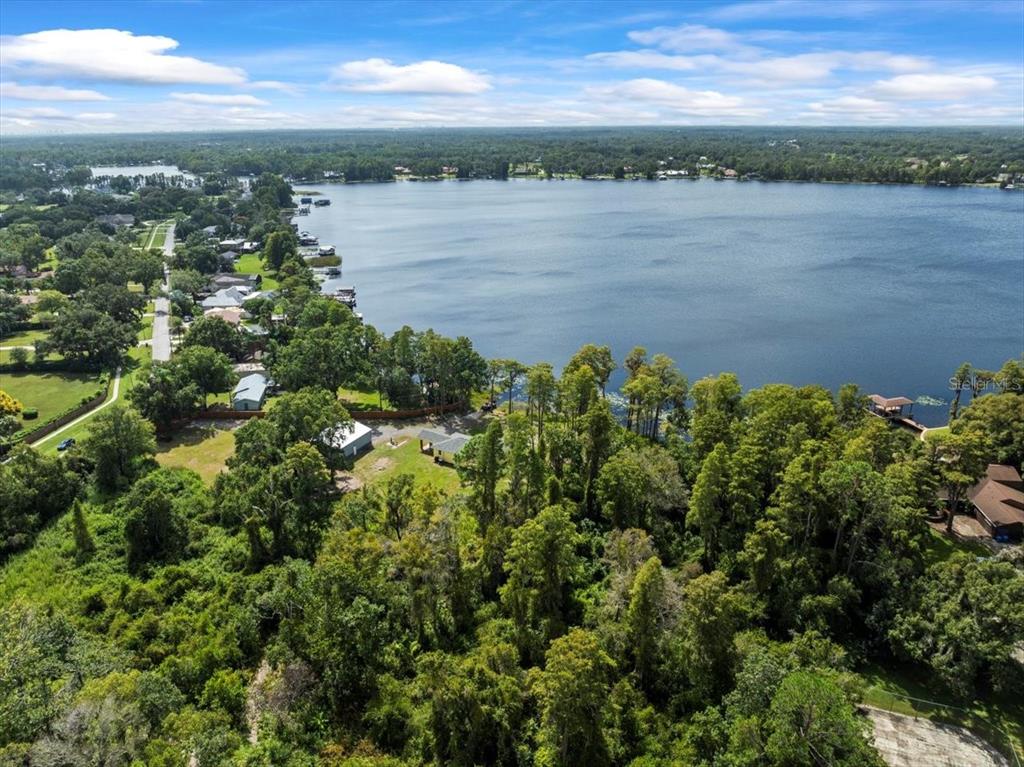 An aerial view shows a house situated on a large, tree-filled lot beside a lake — 17924 SIMMS ROAD, ODESSA, FL