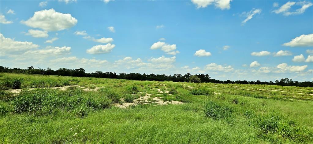 A wide, grassy field under a blue sky with scattered clouds and distant tree lines — MAMMOTH GROVE ROAD, LAKE WALES, FL