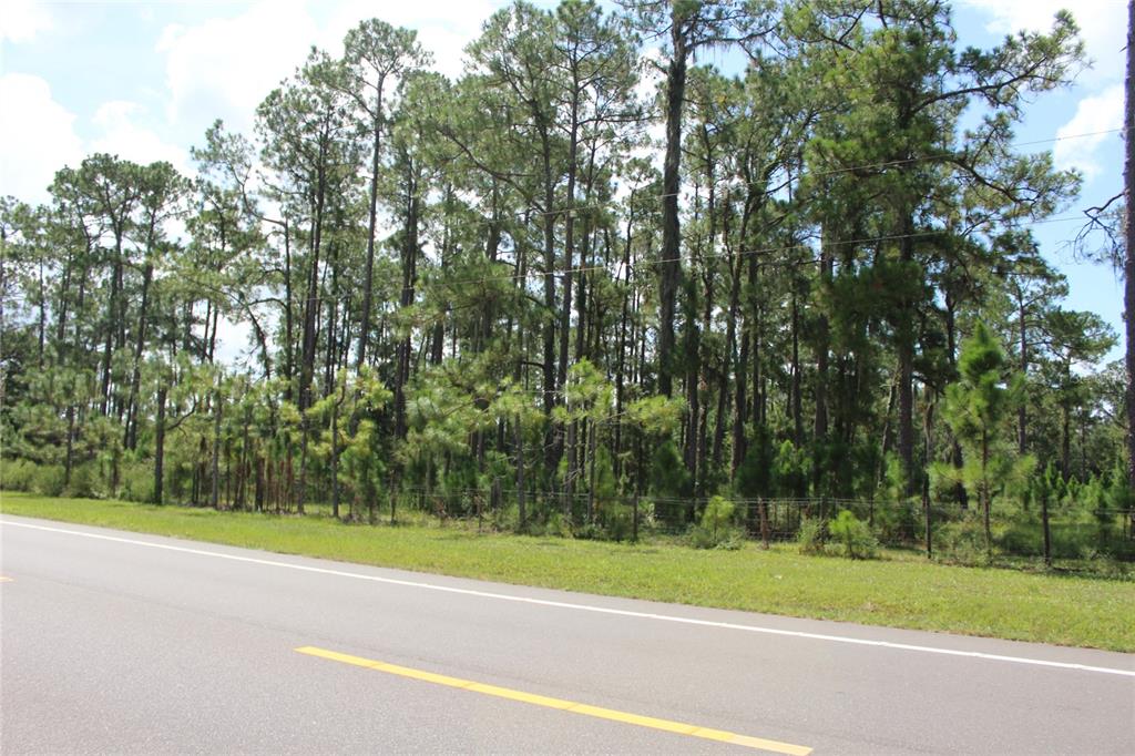 US HIGHWAY 98 W, FROSTPROOF, FL — photo 2 of 30