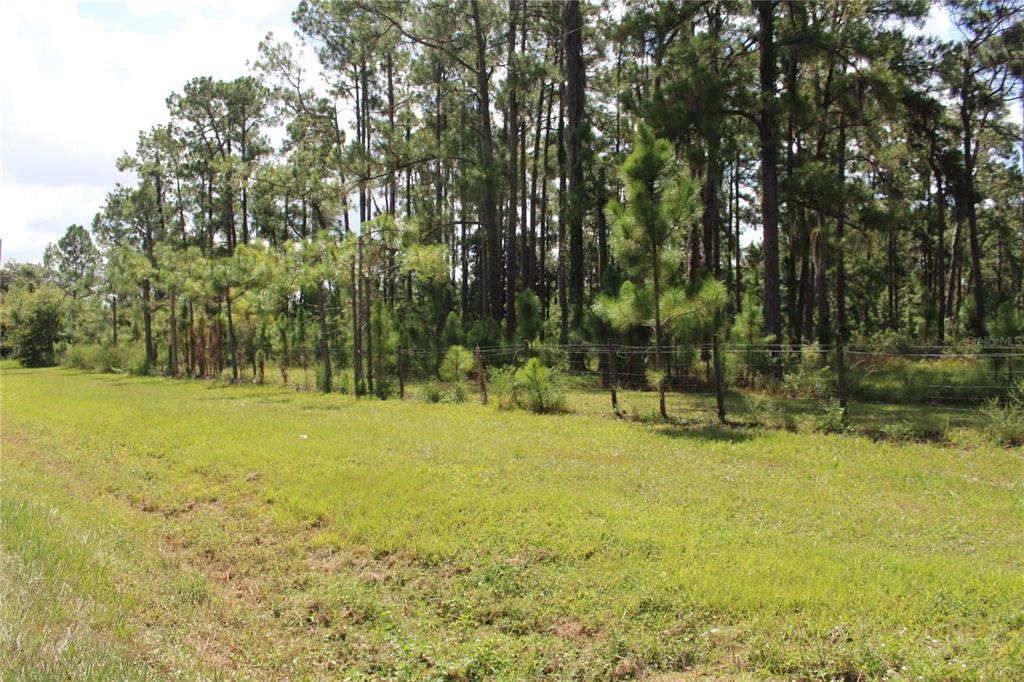 US HIGHWAY 98 W, FROSTPROOF, FL — photo 4 of 30