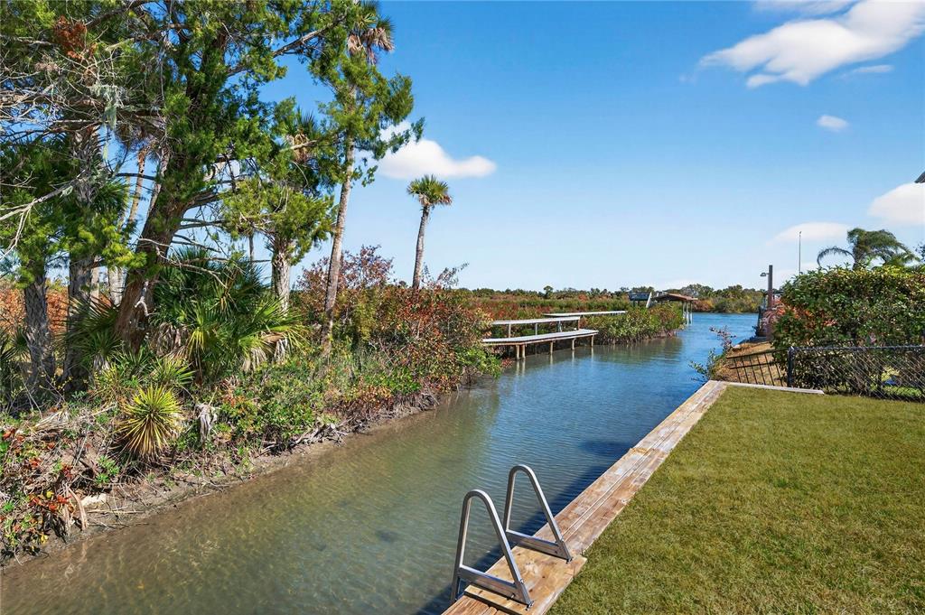 A grassy backyard features a wooden bulkhead with a metal ladder leading into a canal — 185 COLEMAN STREET, EDGEWATER, FL